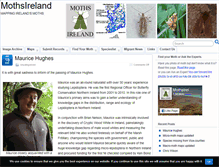 Tablet Screenshot of mothsireland.com